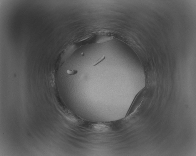 X0000073430183200608181156