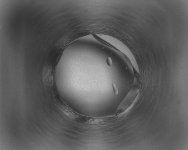 X0000073430186200608181156