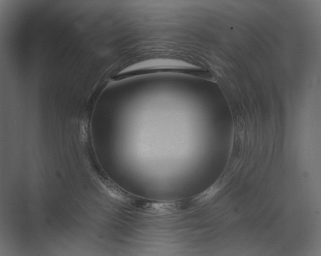 X0000073430188200608181156