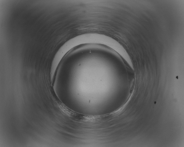 X0000073430190200608181156