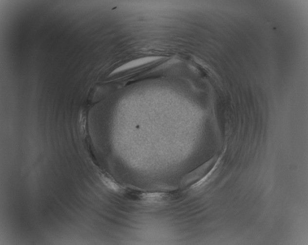 X0000073430192200608181156
