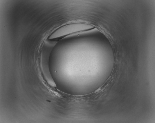 X0000073430193200608181156