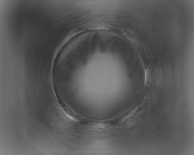X0000073430195200608181156