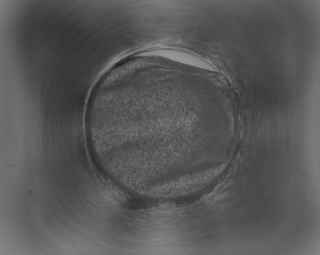 X0000073430196200608181155