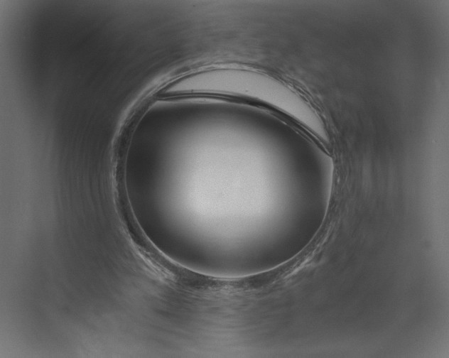 X0000073430197200608181155