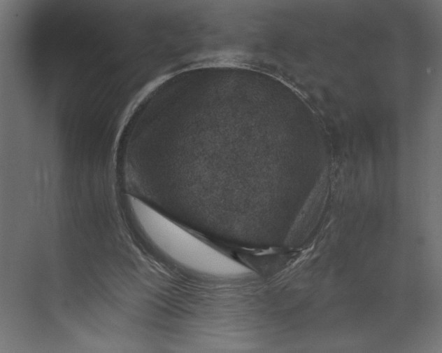 X0000073430200200608181155