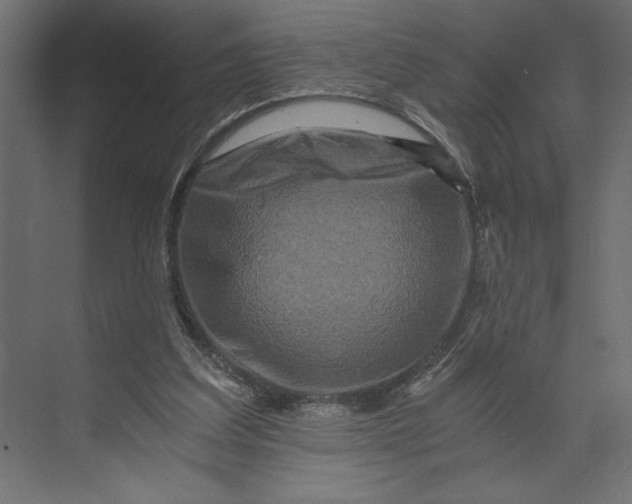 X0000073430203200608181155