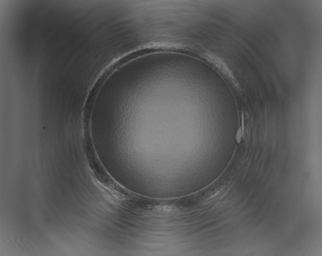 X0000073430204200608181155