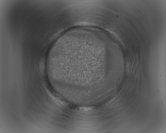 X0000073430208200608181155