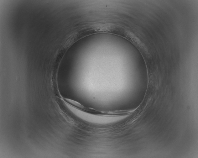 X0000073430209200608181155