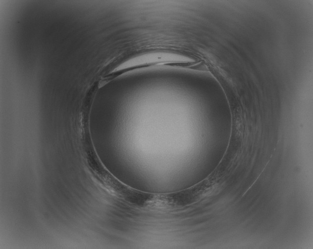 X0000073430211200608181155