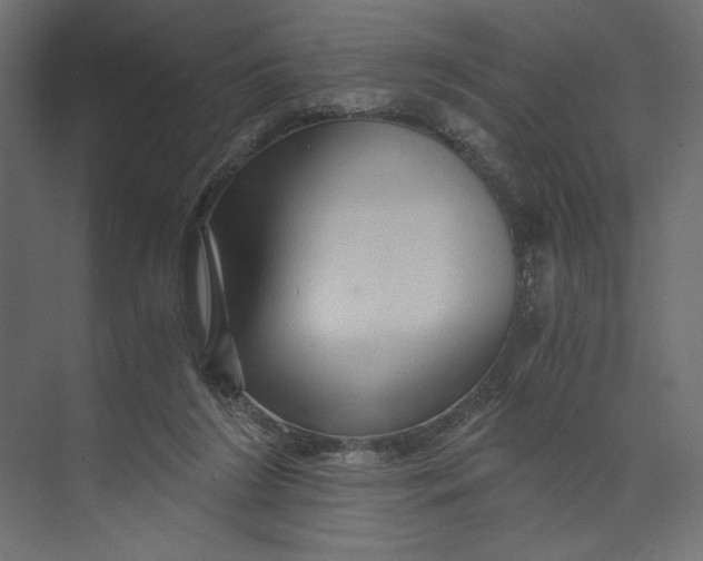 X0000073430212200608181155