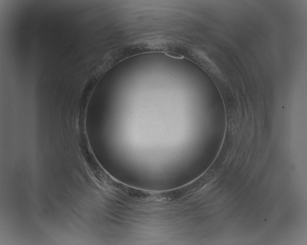 X0000073430213200608181155