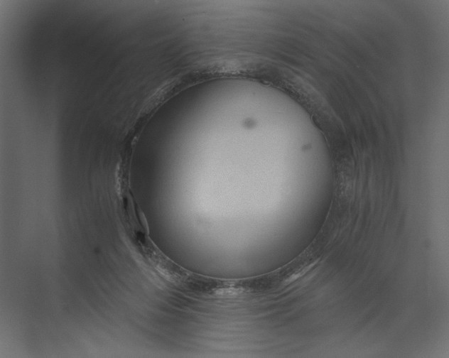 X0000073430216200608181155
