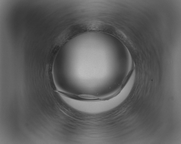 X0000073430217200608181155