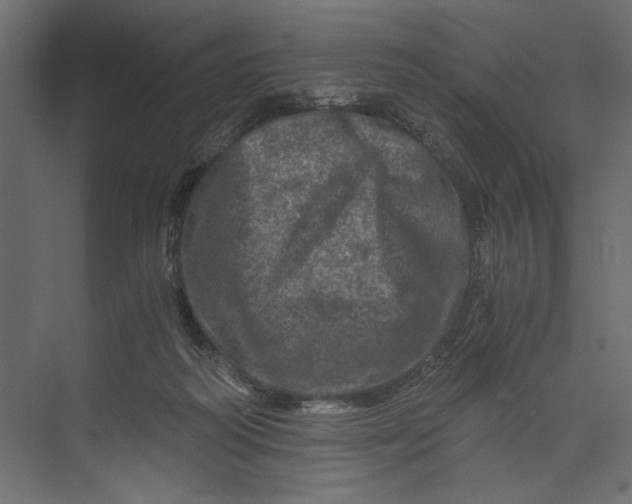 X0000073430218200608181155