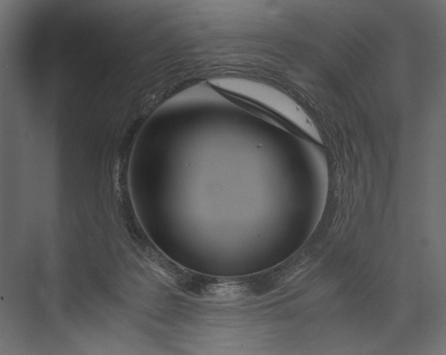 X0000073430219200608181155