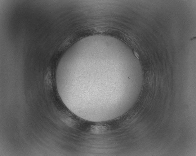 X0000073430220200608181155
