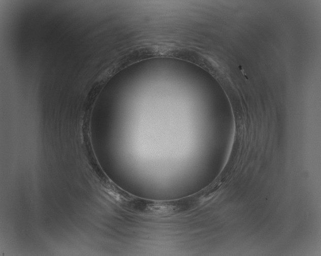 X0000073430221200608181155