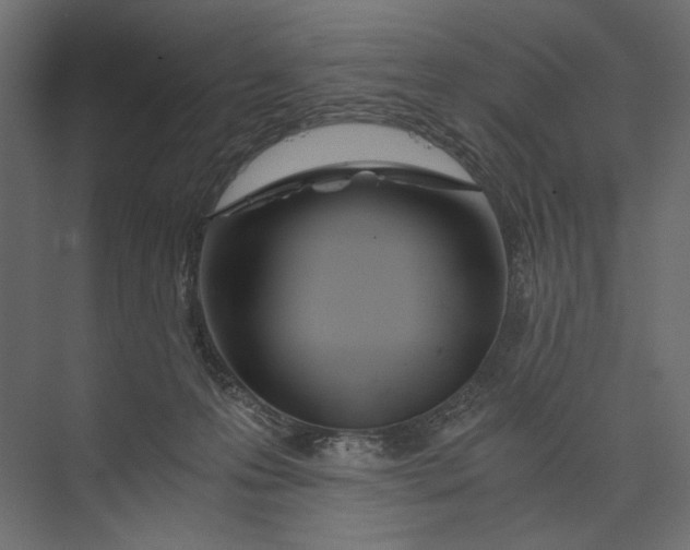 X0000073430223200608181155