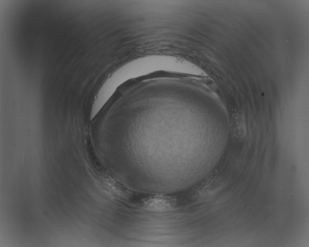 X0000073430224200608181155