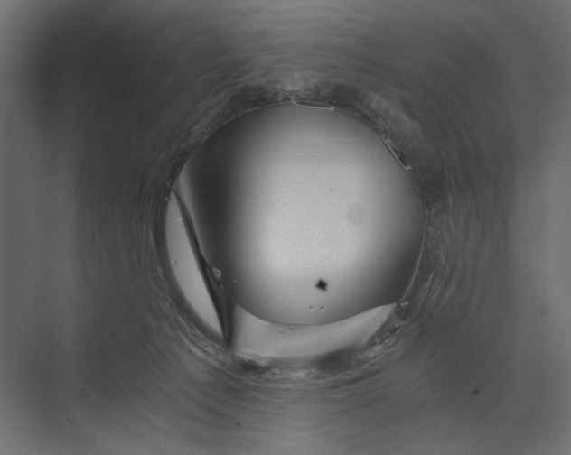 X0000073430225200608181155