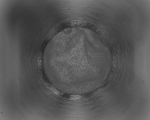 X0000073430226200608181155
