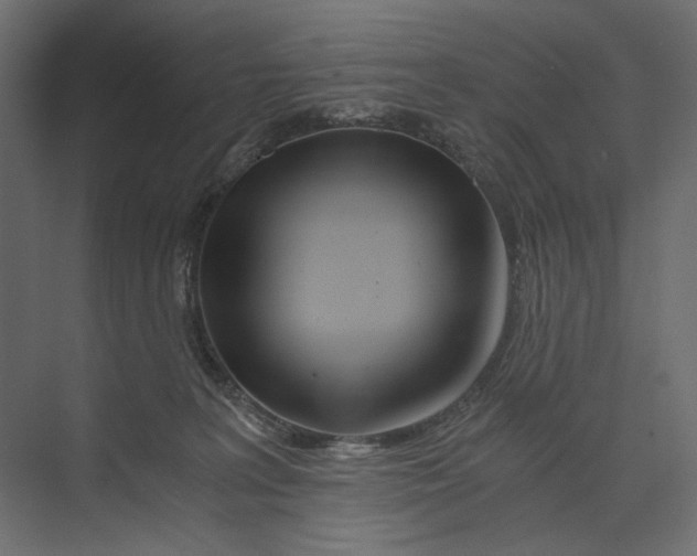 X0000073430227200608181155