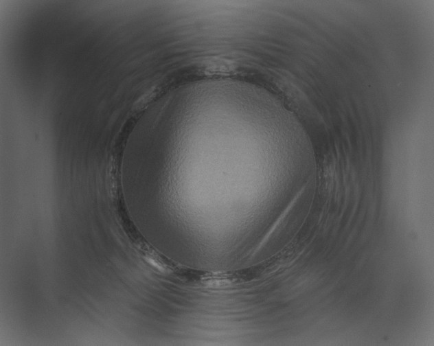 X0000073430228200608181155