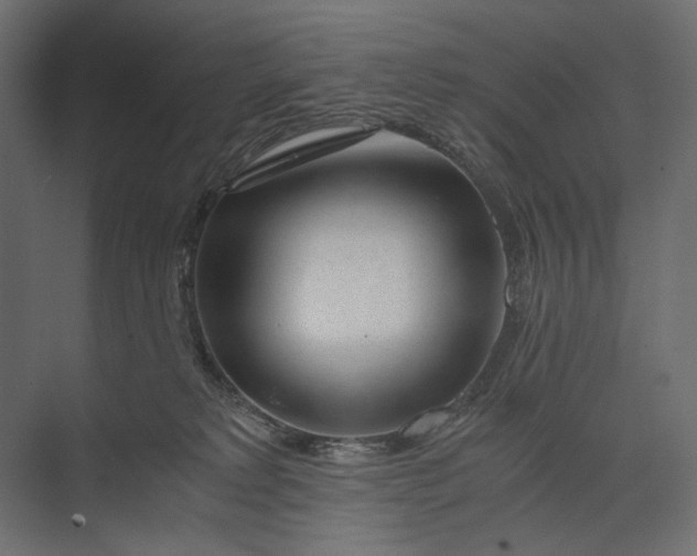 X0000073430229200608181155