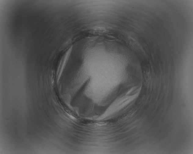 X0000073430232200608181155
