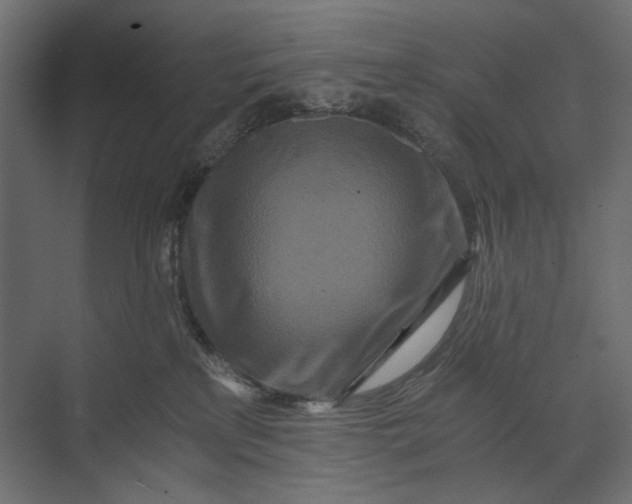 X0000073430233200608181155