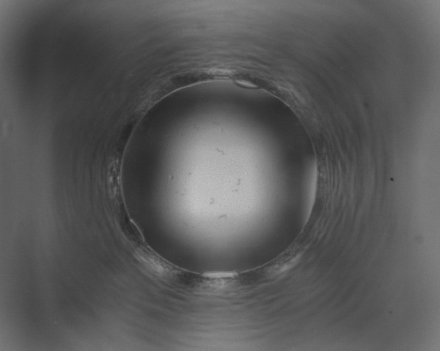X0000073430237200608181155