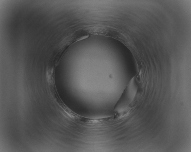 X0000073430239200608181155