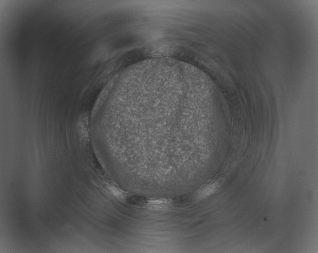X0000073430240200608181155