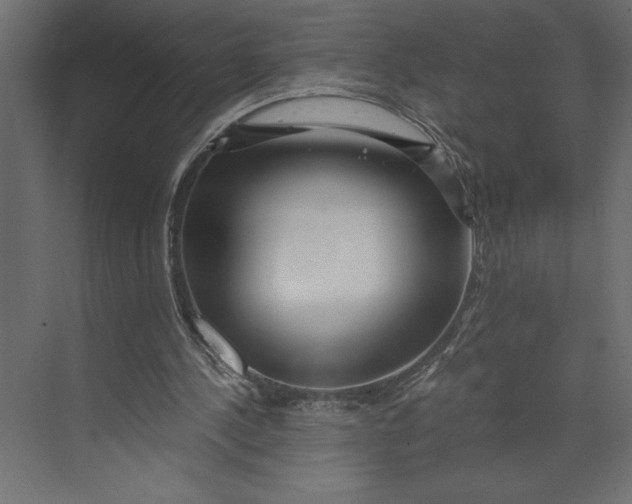 X0000073430244200608181154