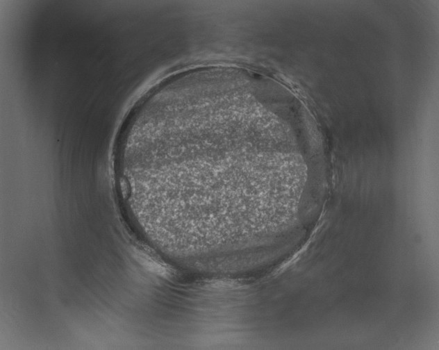 X0000073430246200608181154