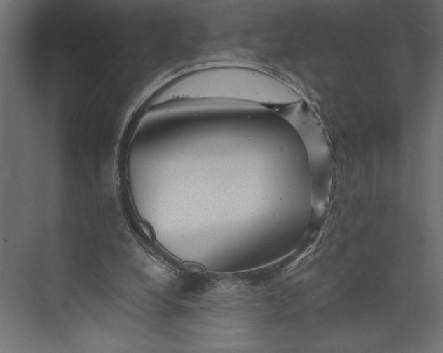 X0000073430248200608181154