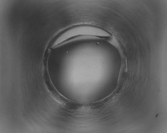 X0000073430252200608181154
