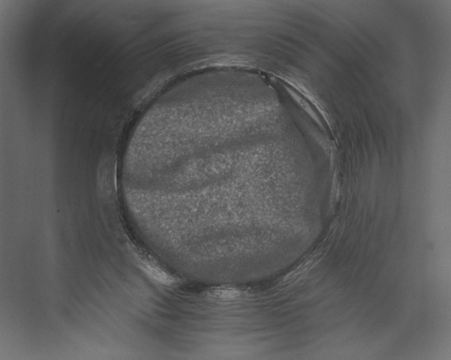 X0000073430253200608181154
