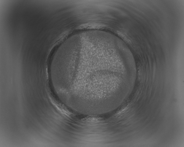X0000073430254200608181154