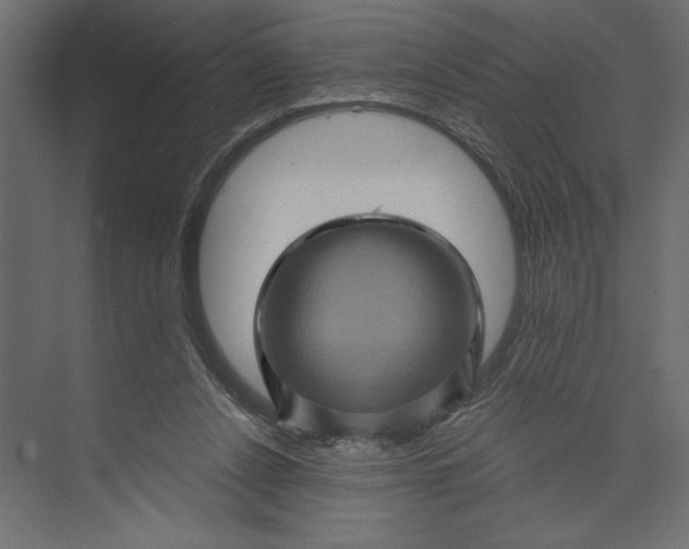 X0000073430256200608181154