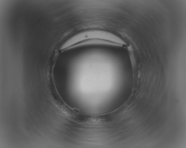X0000073430260200608181154