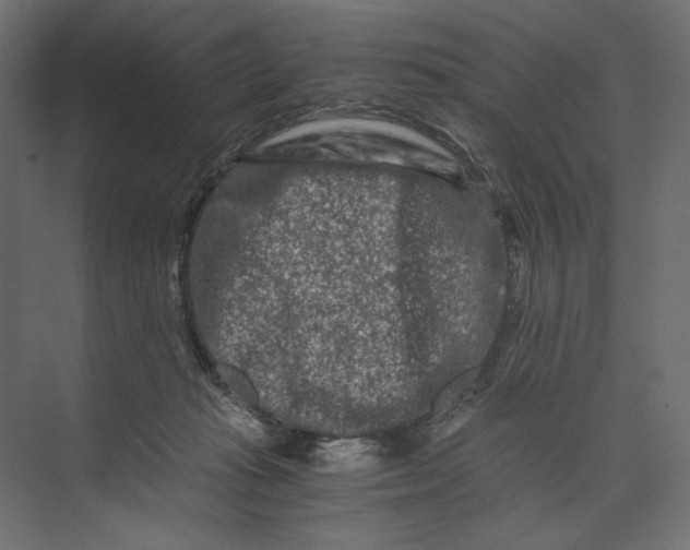 X0000073430269200608181154