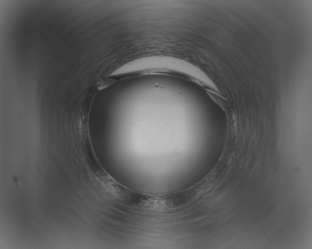 X0000073430276200608181155