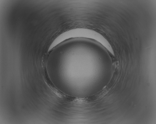 X0000073430280200608181155