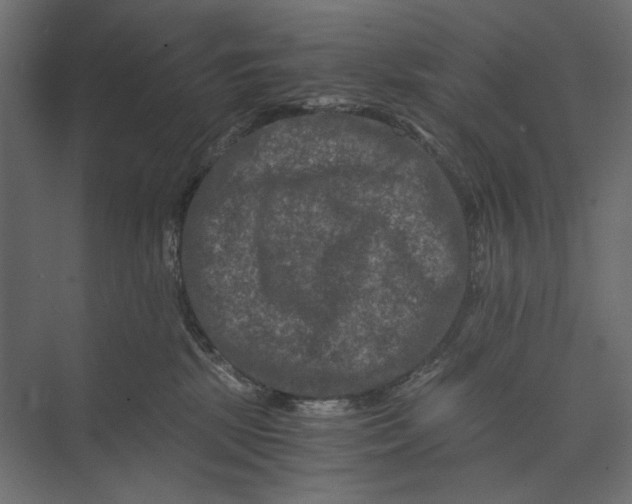 X0000073430281200608181155