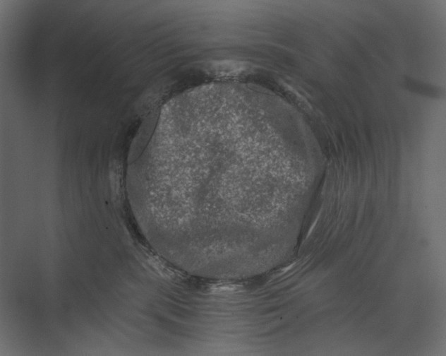 X0000073430283200608181155
