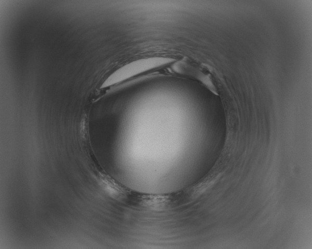 X0000073430288200608181155