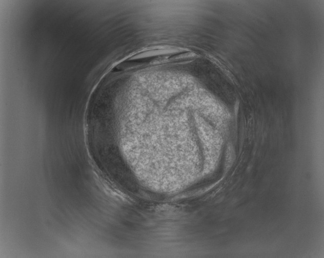 X0000073430290200608181154